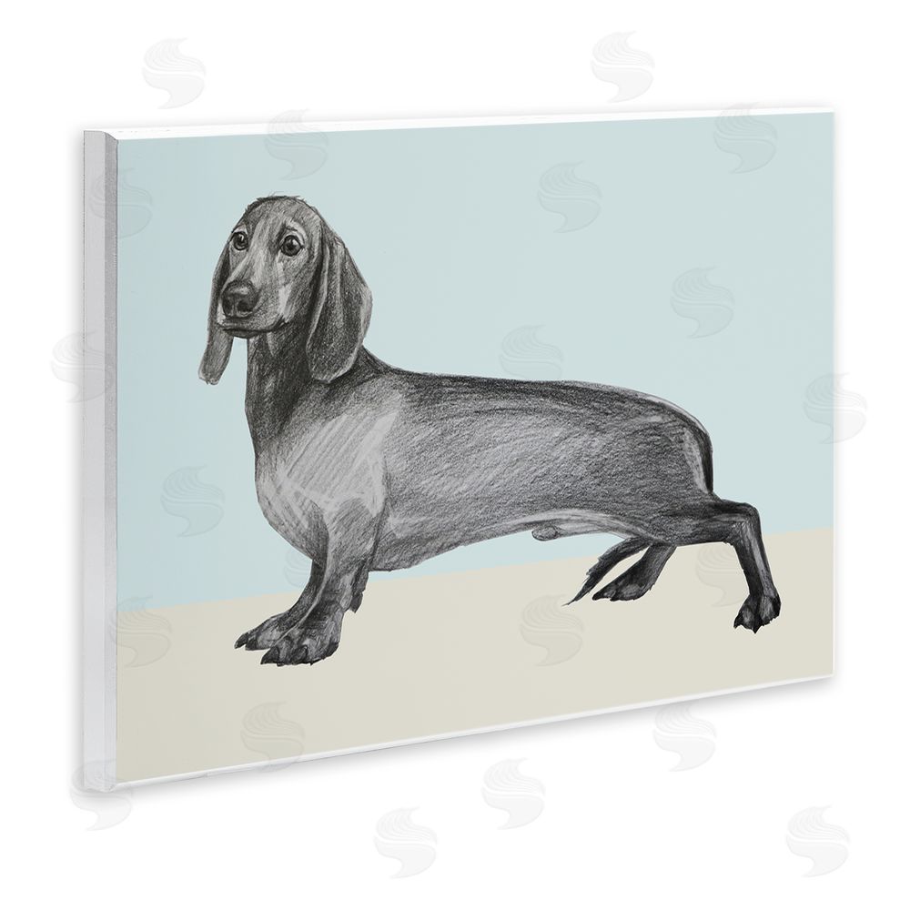 Violeta Vollmer Sketched Dachshund on Blue Wooden Wall Plaque Art Print