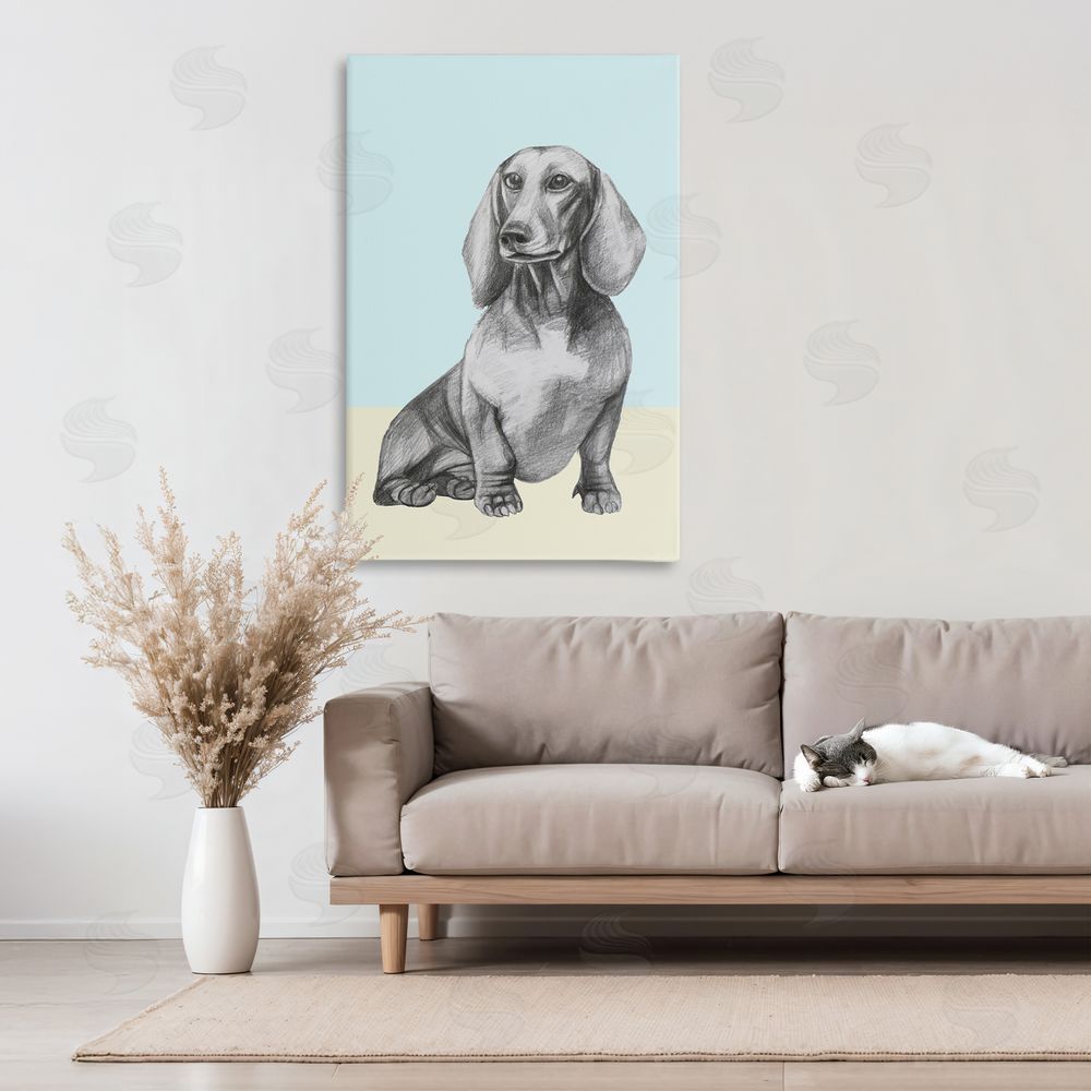 Violeta Vollmer Sitting Dachshund Sketch 