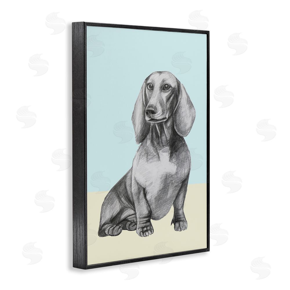 Violeta Vollmer Sitting Dachshund Sketch Black Framed Giclee Wall Art Print