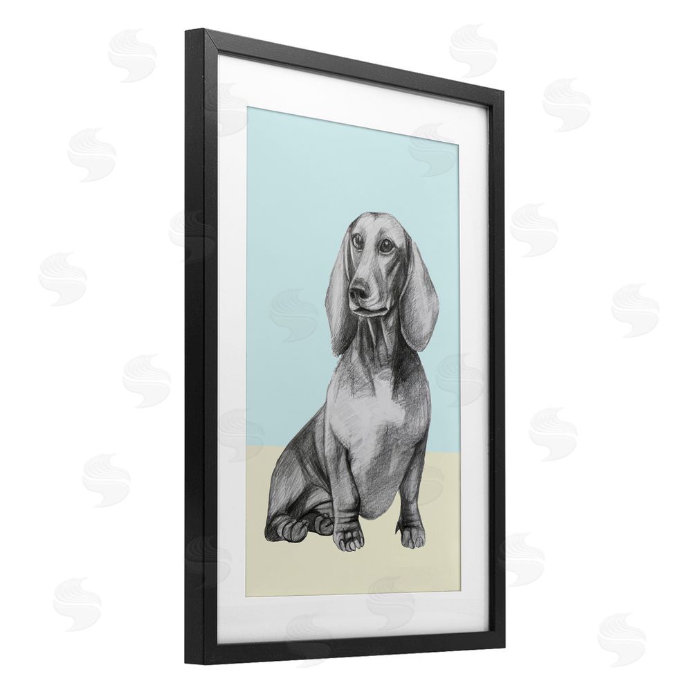 Violeta Vollmer Sitting Dachshund Sketch Black Framed Print Under Glass Wall Art