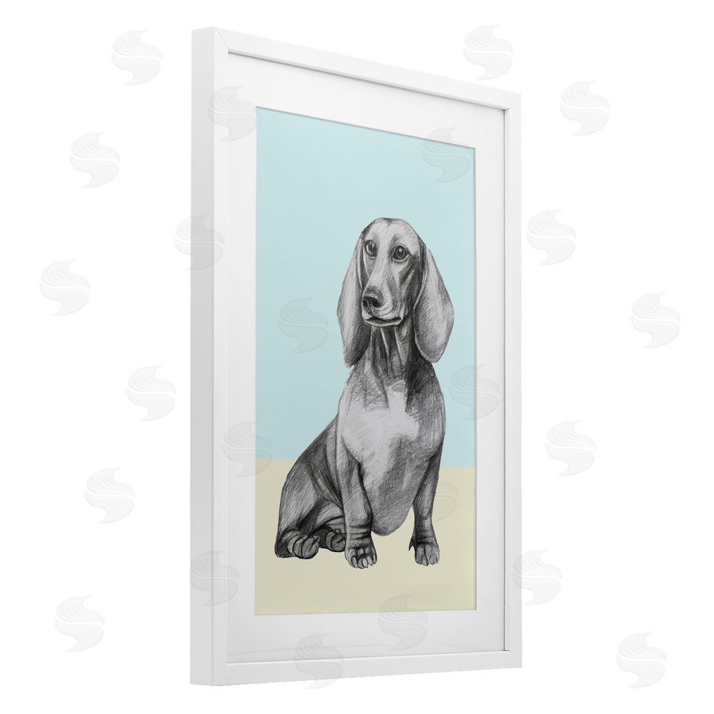 Violeta Vollmer Sitting Dachshund Sketch White Framed Print Under Glass Wall Art