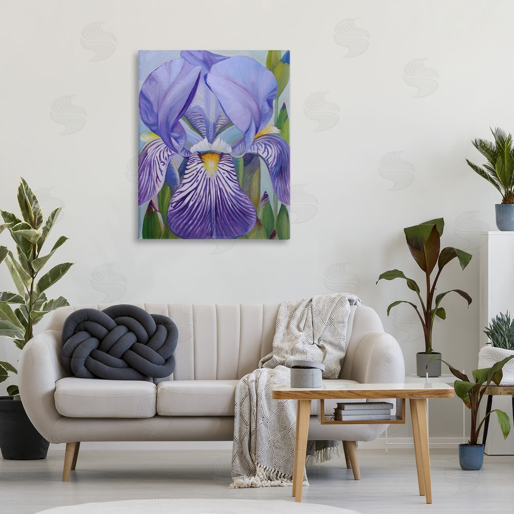 Violeta Vollmer Blooming Purple Iris Petals 