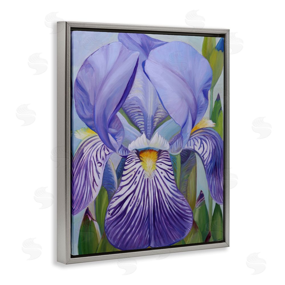 Violeta Vollmer Blooming Purple Iris Petals Gray Floating Frame Canvas Wall Art Print