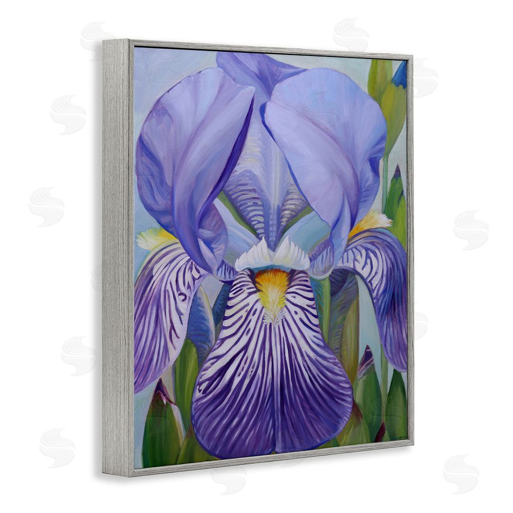 Violeta Vollmer Blooming Purple Iris Petals Gray Framed Giclee Wall Art Print