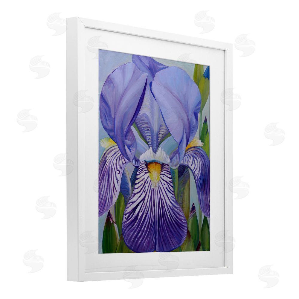 Violeta Vollmer Blooming Purple Iris Petals White Framed Print Under Glass Wall Art