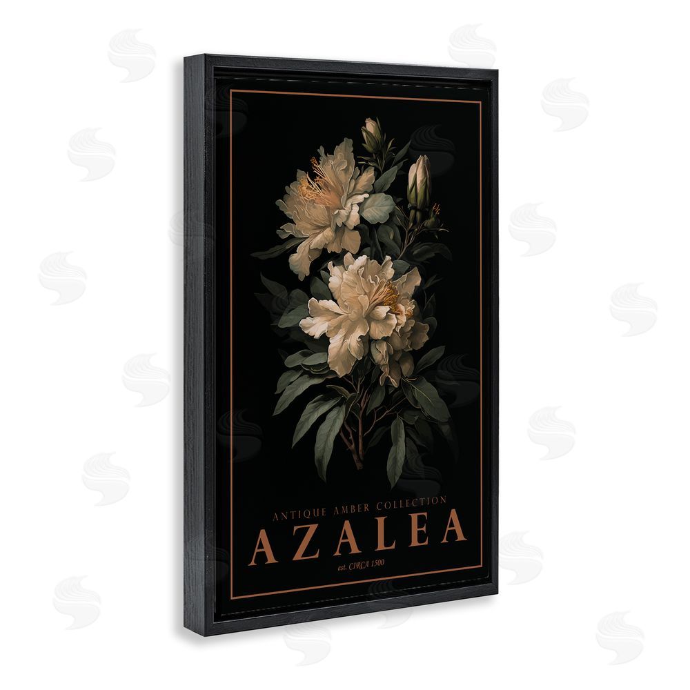 Chris Giampietro Antique Azalea Light Black Floating Frame Canvas Wall Art Print