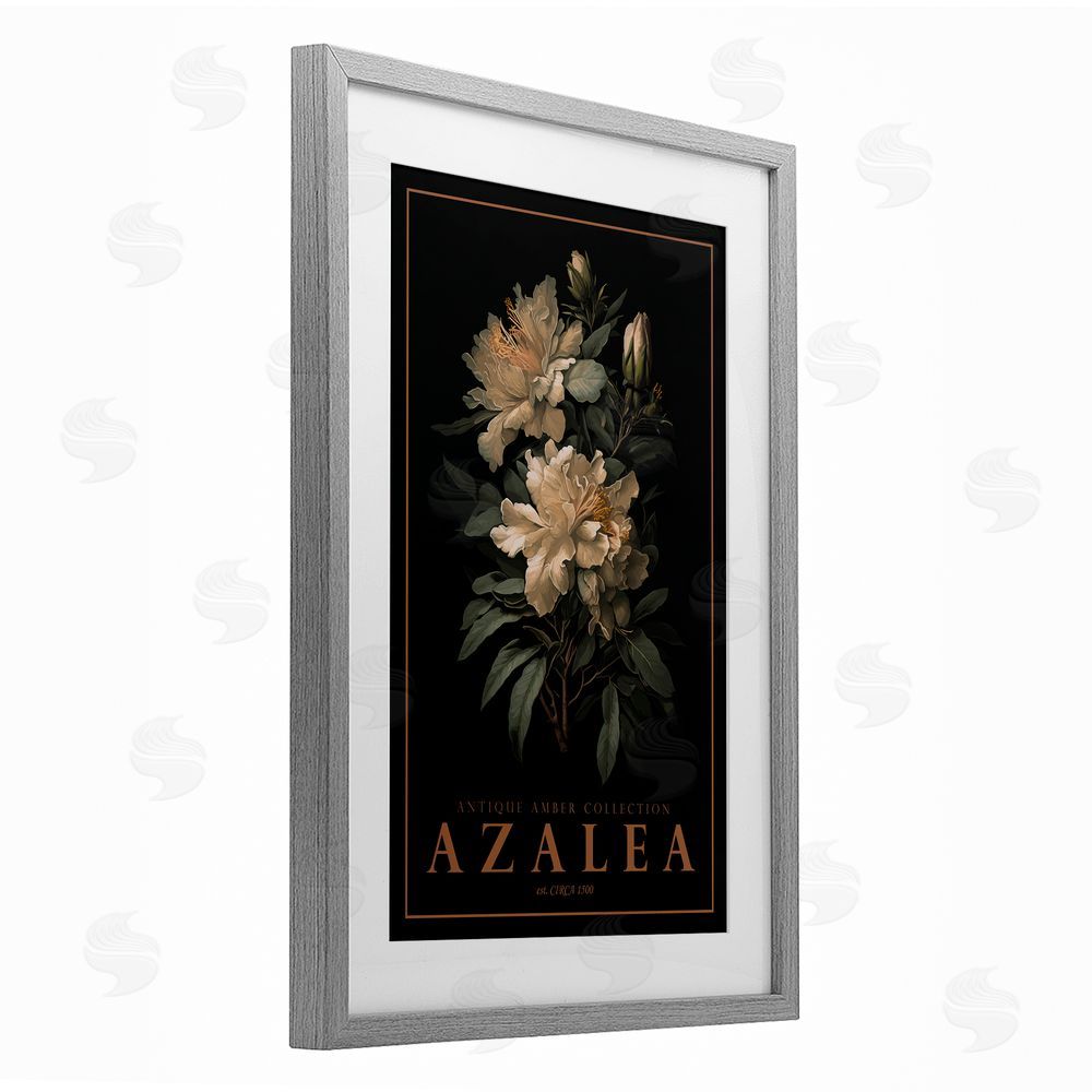 Chris Giampietro Antique Azalea Light Gray Framed Print Under Glass Wall Art