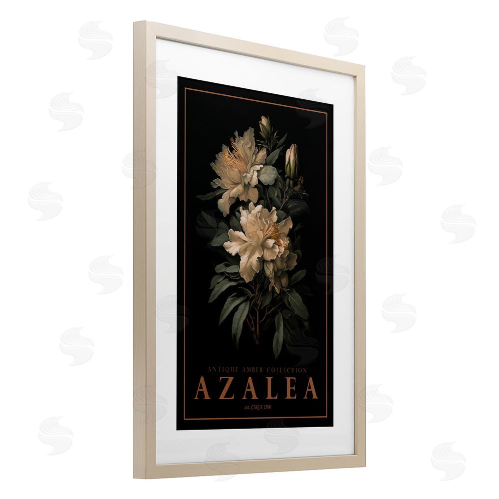 Chris Giampietro Antique Azalea Light Birch Framed Print Under Glass Wall Art