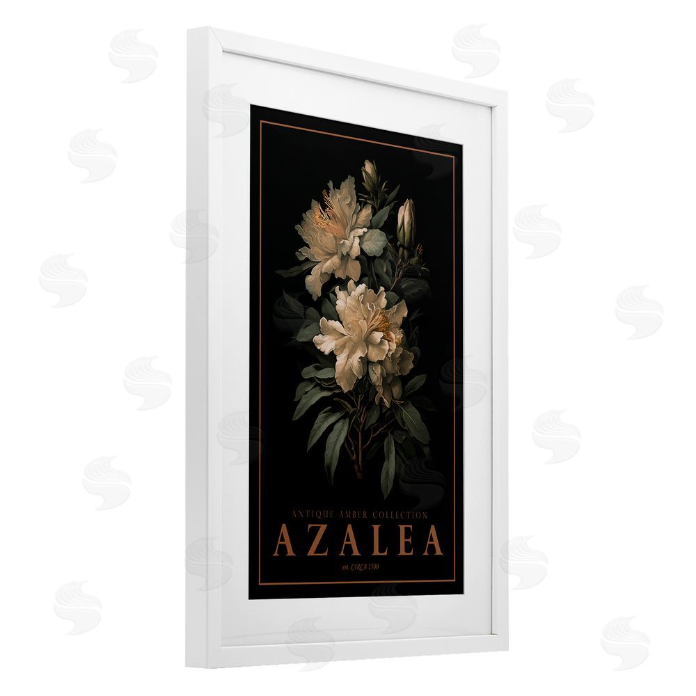 Chris Giampietro Antique Azalea Light White Framed Print Under Glass Wall Art