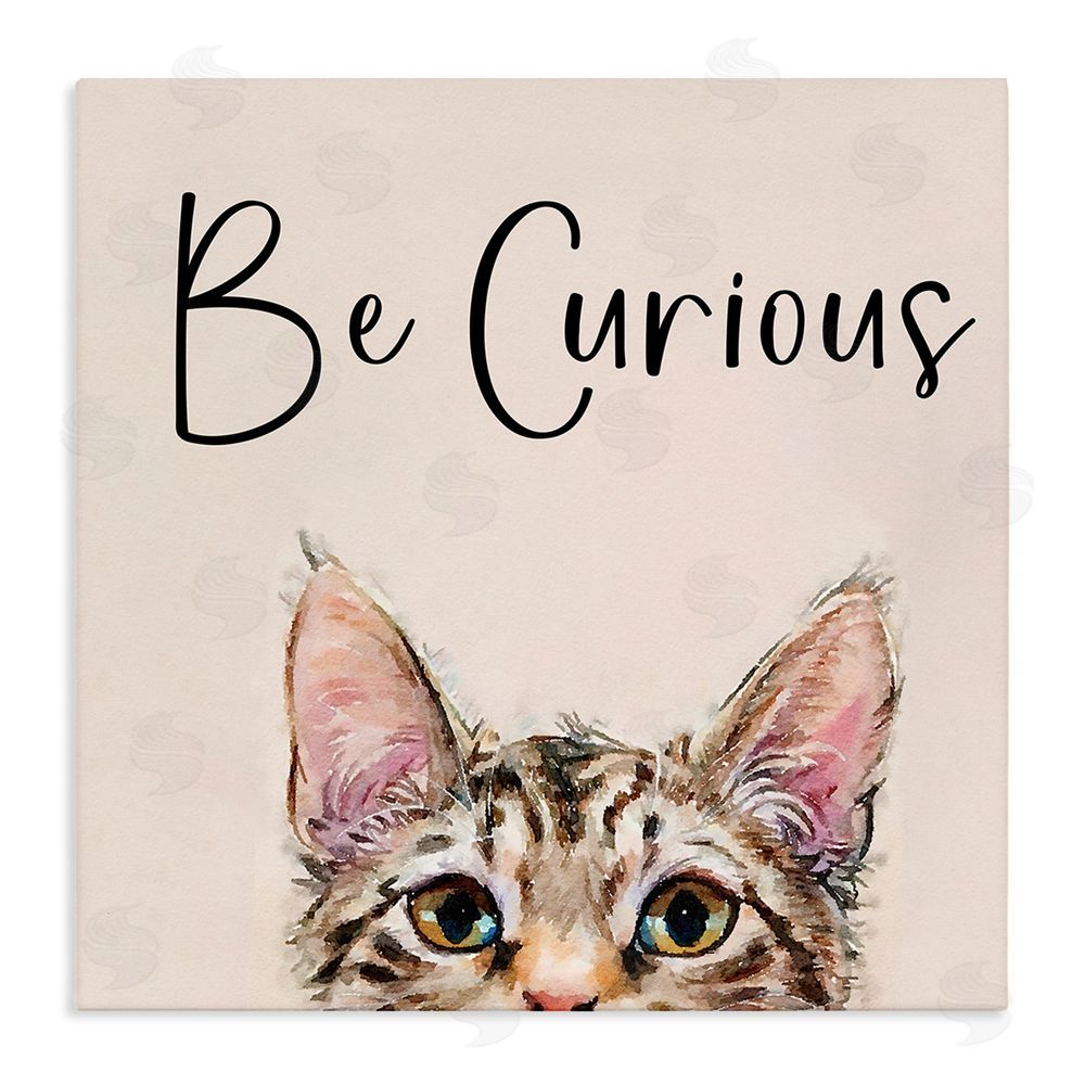 Kim Curinga Be Curious Peeking Tabby Kitten Stretched Canvas Wall Art Print