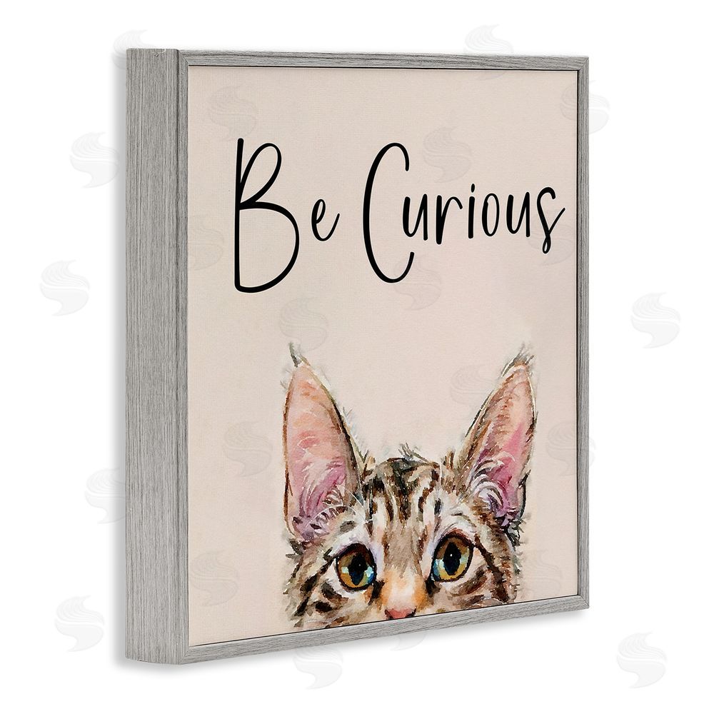 Kim Curinga Be Curious Peeking Tabby Kitten Gray Framed Giclee Wall Art Print
