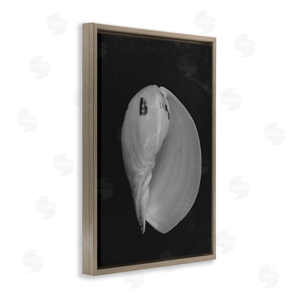 Amy Carroll Black And White Conch Shell Brown Floating Frame Canvas Wall Art Print