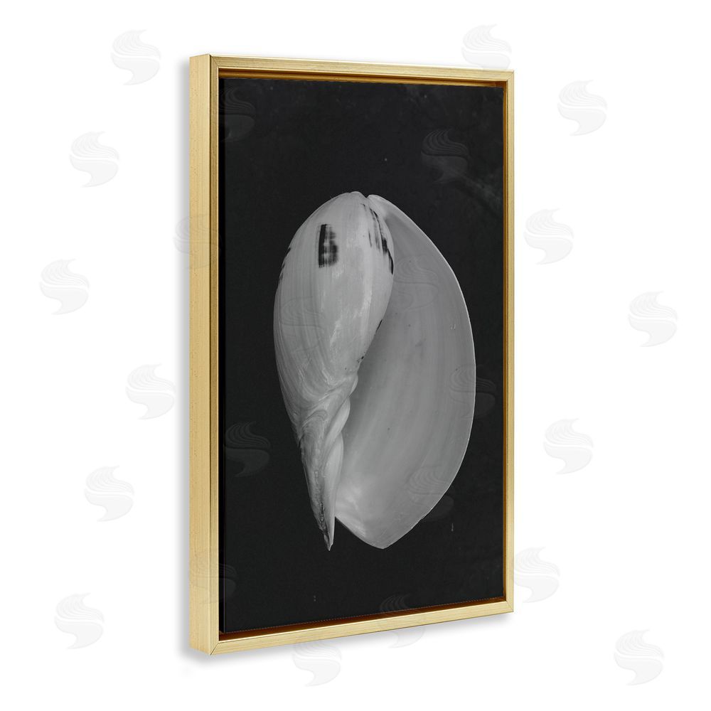 Amy Carroll Black And White Conch Shell Gold Floating Frame Canvas Wall Art Print