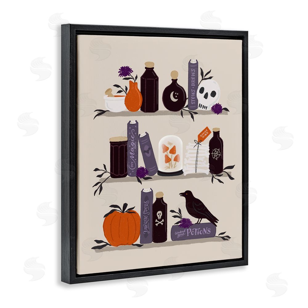 Sandra Picco Apothecary Bookshelves with Crow Black Floating Frame Canvas Wall Art Print