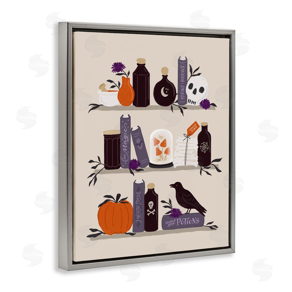 Sandra Picco Apothecary Bookshelves with Crow Gray Floating Frame Canvas Wall Art Print