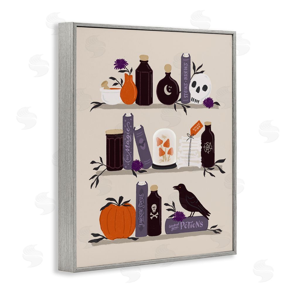 Sandra Picco Apothecary Bookshelves with Crow Gray Framed Giclee Wall Art Print