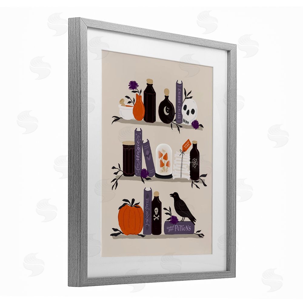 Sandra Picco Apothecary Bookshelves with Crow Gray Framed Print Under Glass with White Mat Wall Art