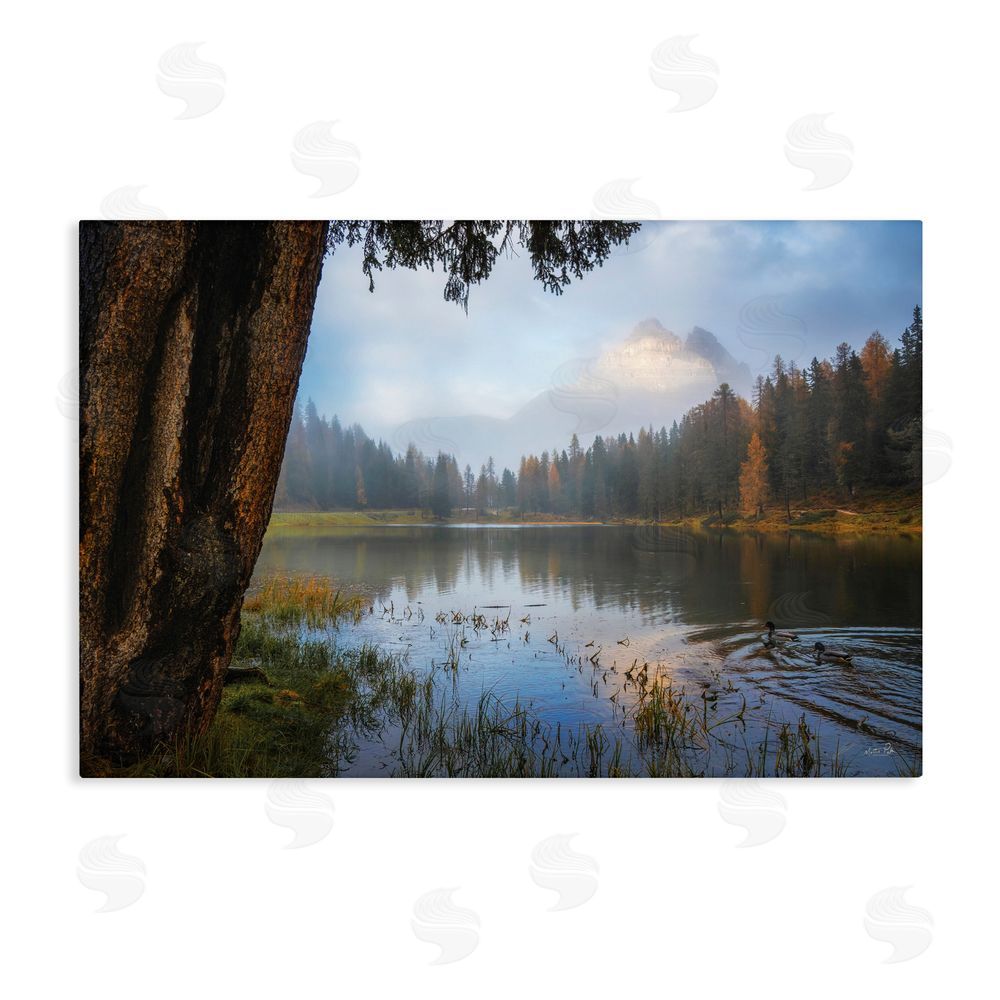 Martin Podt Autumn Forest Reflections Stretched Canvas Wall Art Print