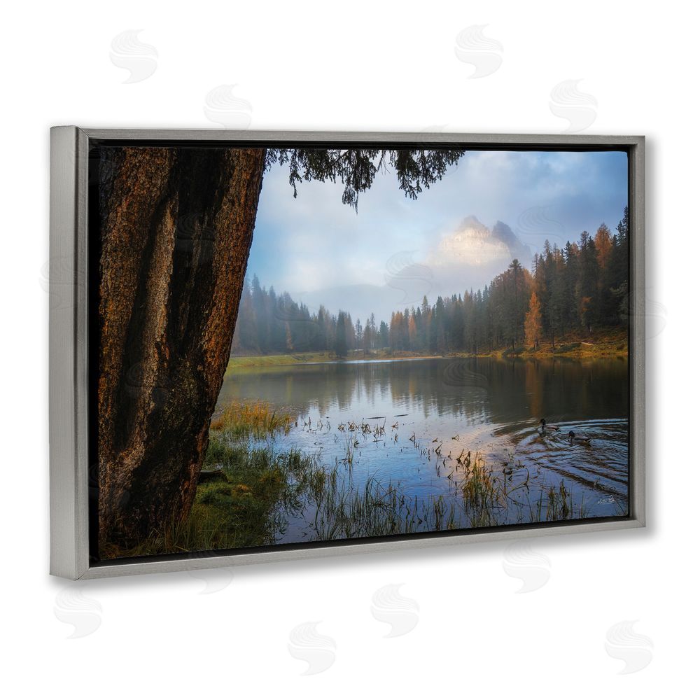 Martin Podt Autumn Forest Reflections Gray Floating Frame Stretched Canvas Wall Art Print