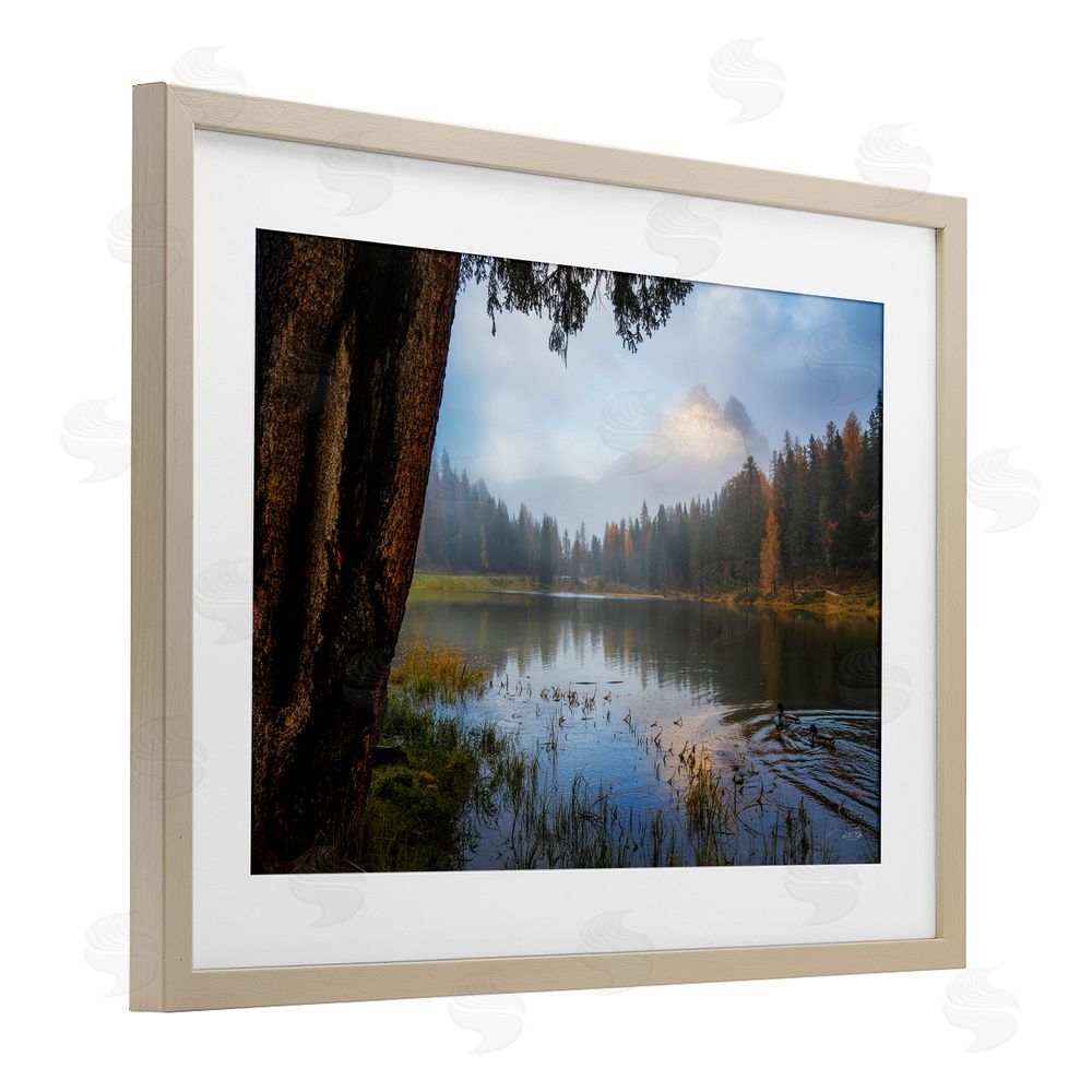 Martin Podt Autumn Forest Reflections Brown Framed Print Under Glass with Matting Wall Art