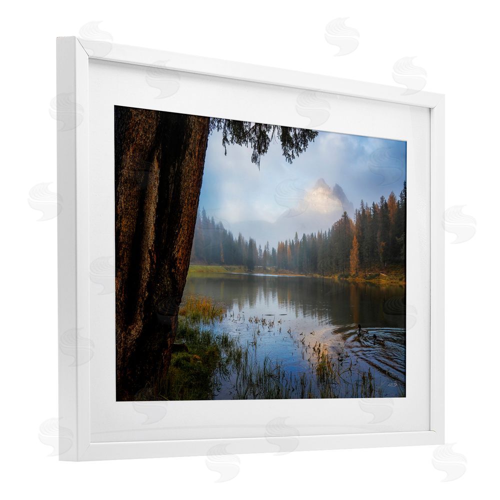 Martin Podt Autumn Forest Reflections White Framed Print Under Glass with Matting Wall Art