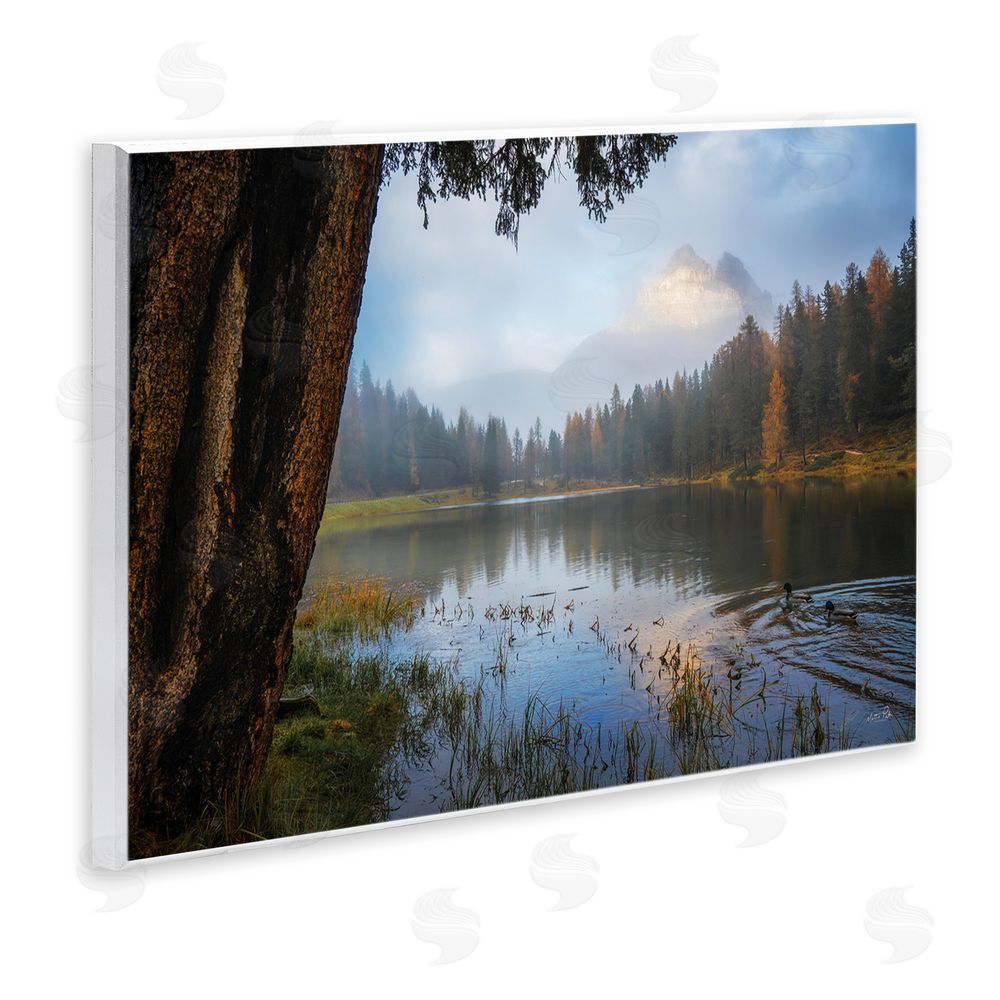 Martin Podt Autumn Forest Reflections Wall Plaque Art Print with White Foil Wrap