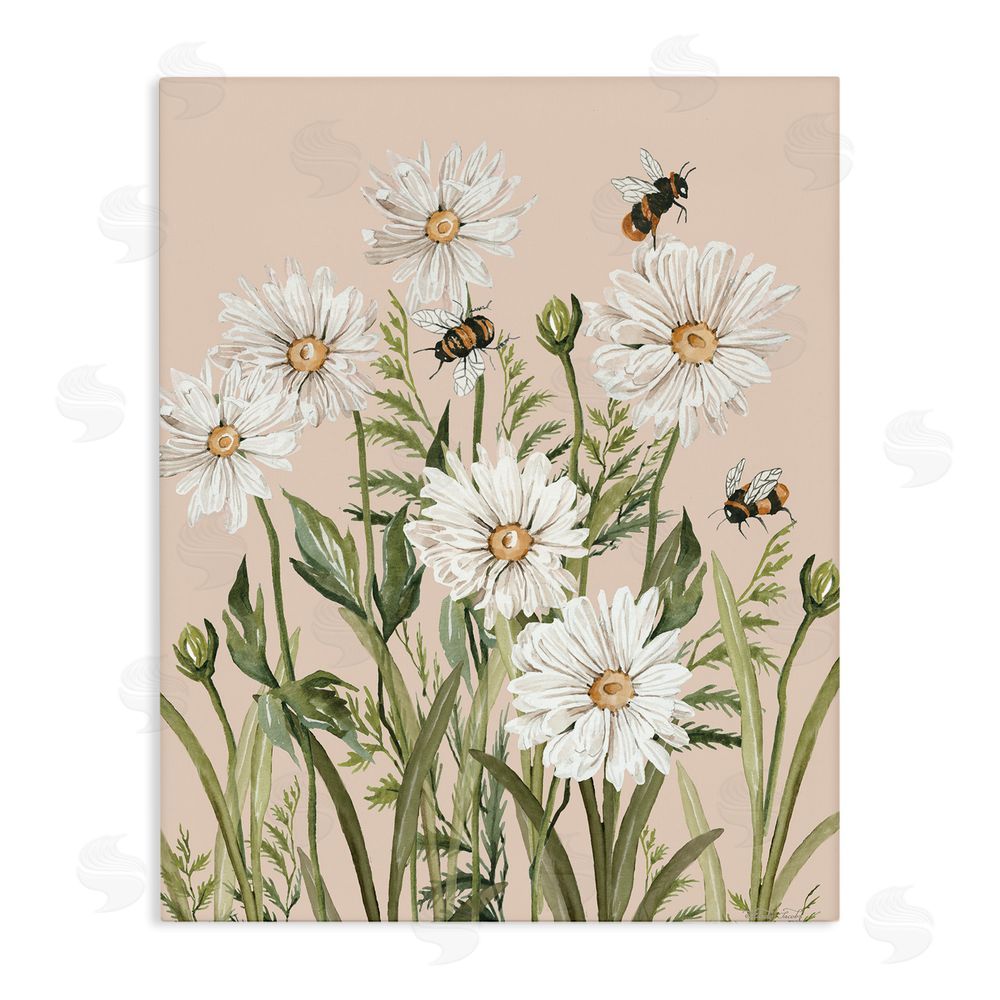 Cindy Jacobs Bees Among White Daisy Blooms Stretched Canvas Wall Art Print
