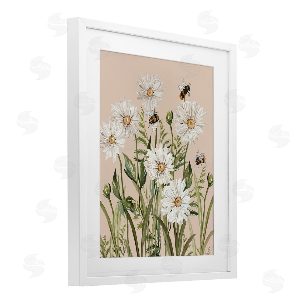 Cindy Jacobs Bees Among White Daisy Blooms White Framed Print Under Glass Wall Art