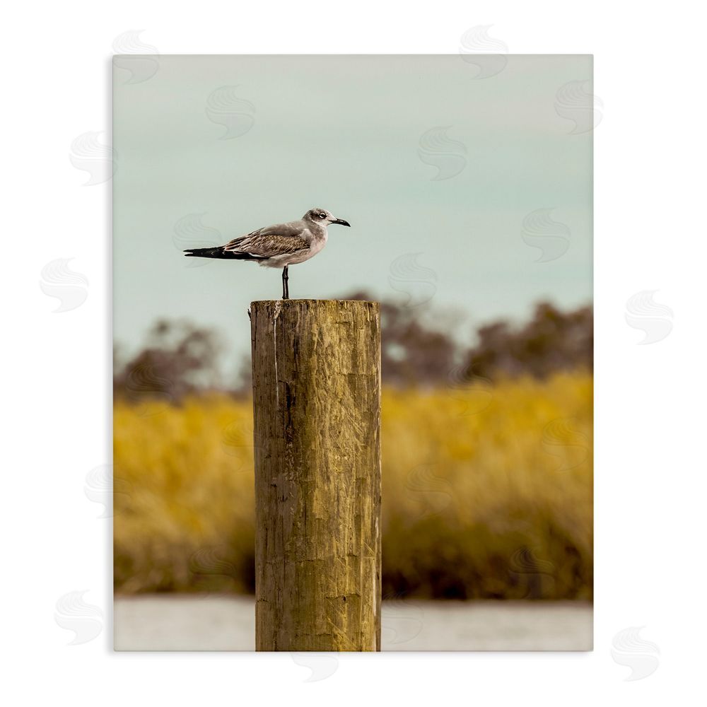 Christy Berry Gull On Piling Stretched Canvas Wall Art Print