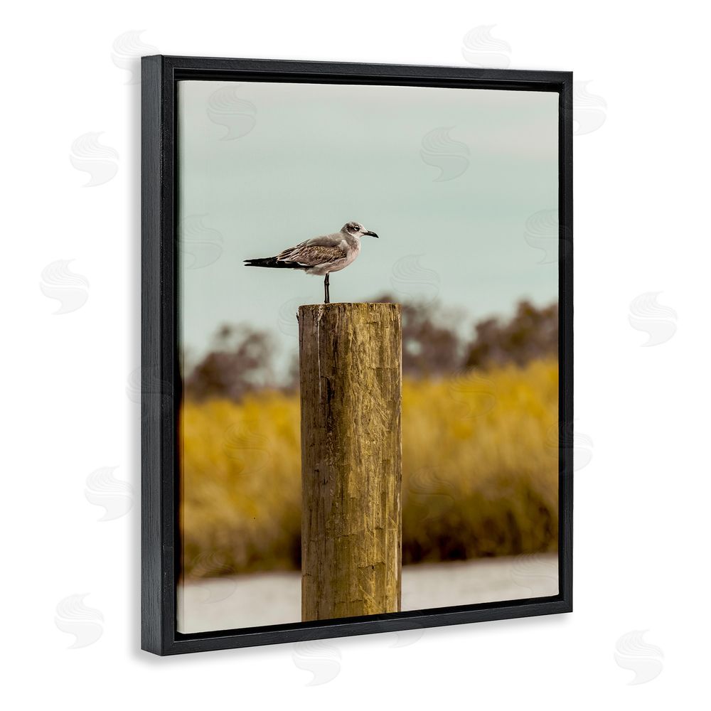 Christy Berry Gull On Piling Black Floating Frame Canvas Wall Art Print