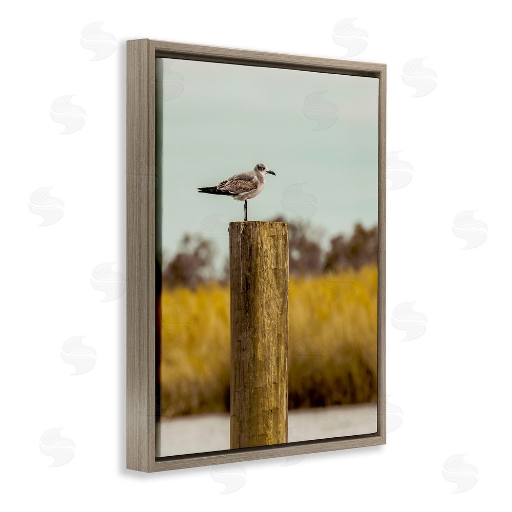 Christy Berry Gull On Piling Brown Floating Frame Canvas Wall Art Print