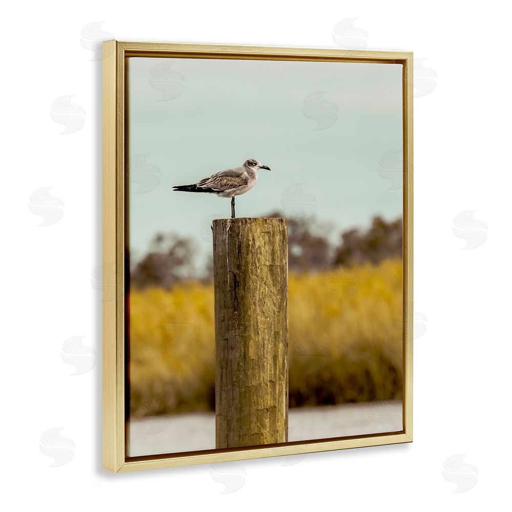 Christy Berry Gull On Piling Gold Floating Frame Canvas Wall Art Print