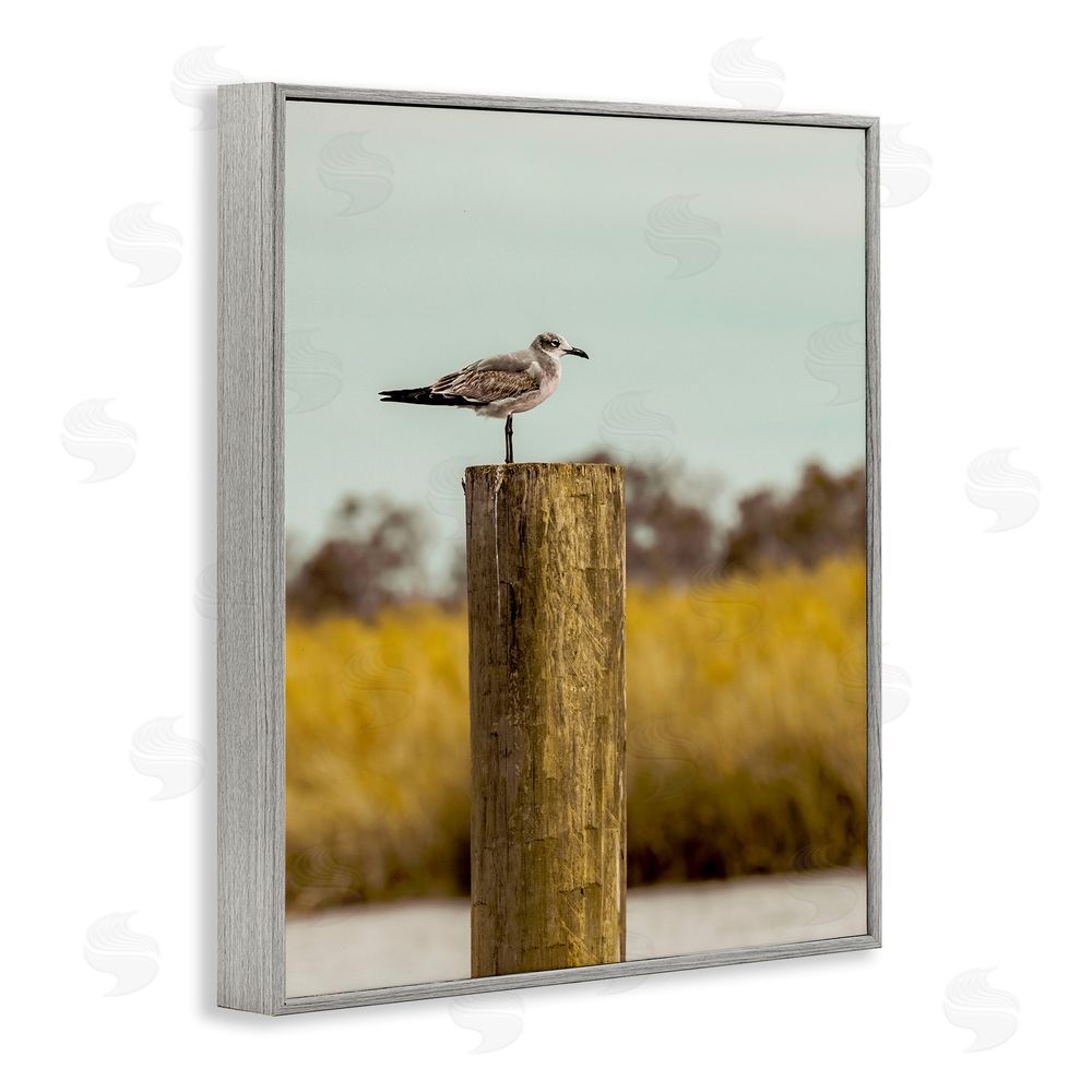 Christy Berry Gull On Piling Gray Framed Giclee Wall Art Print