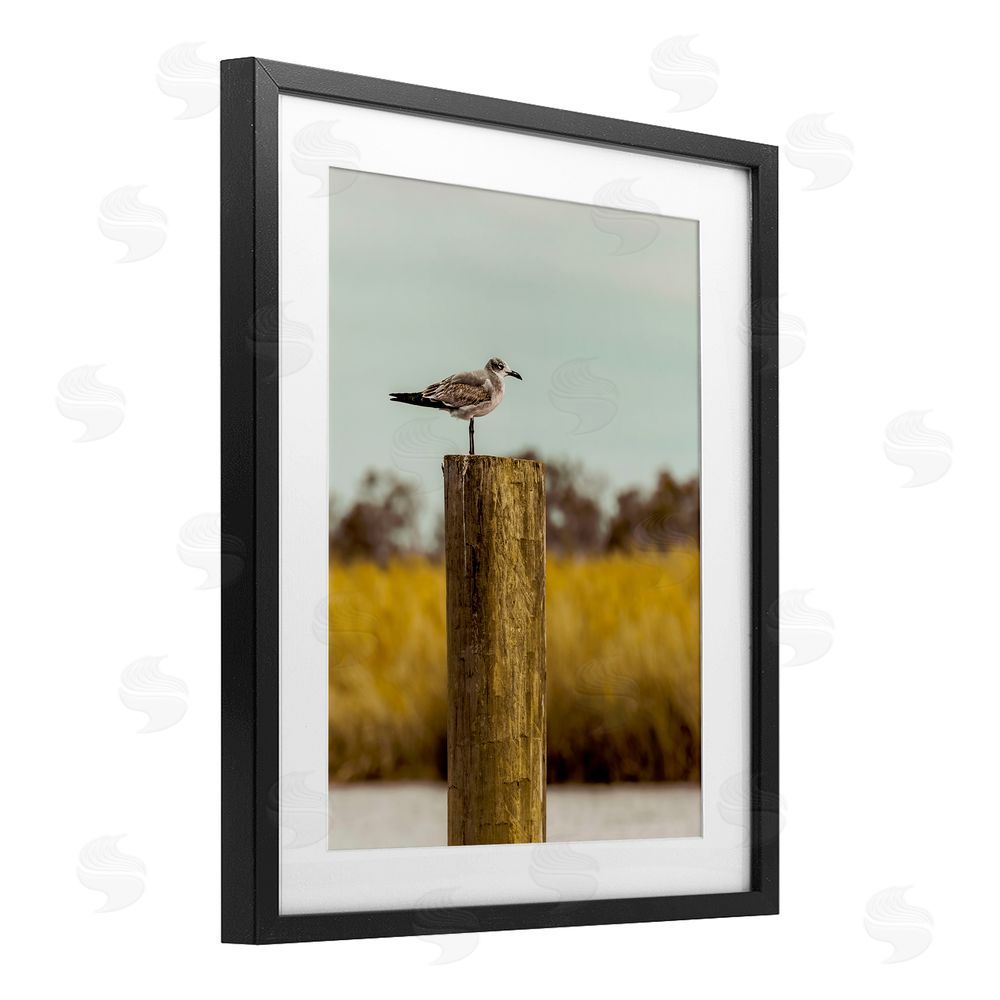 Christy Berry Gull On Piling Black Framed Print Under Glass Wall Art
