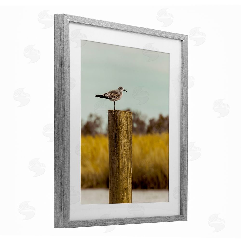 Christy Berry Gull On Piling Gray Framed Print Under Glass Wall Art