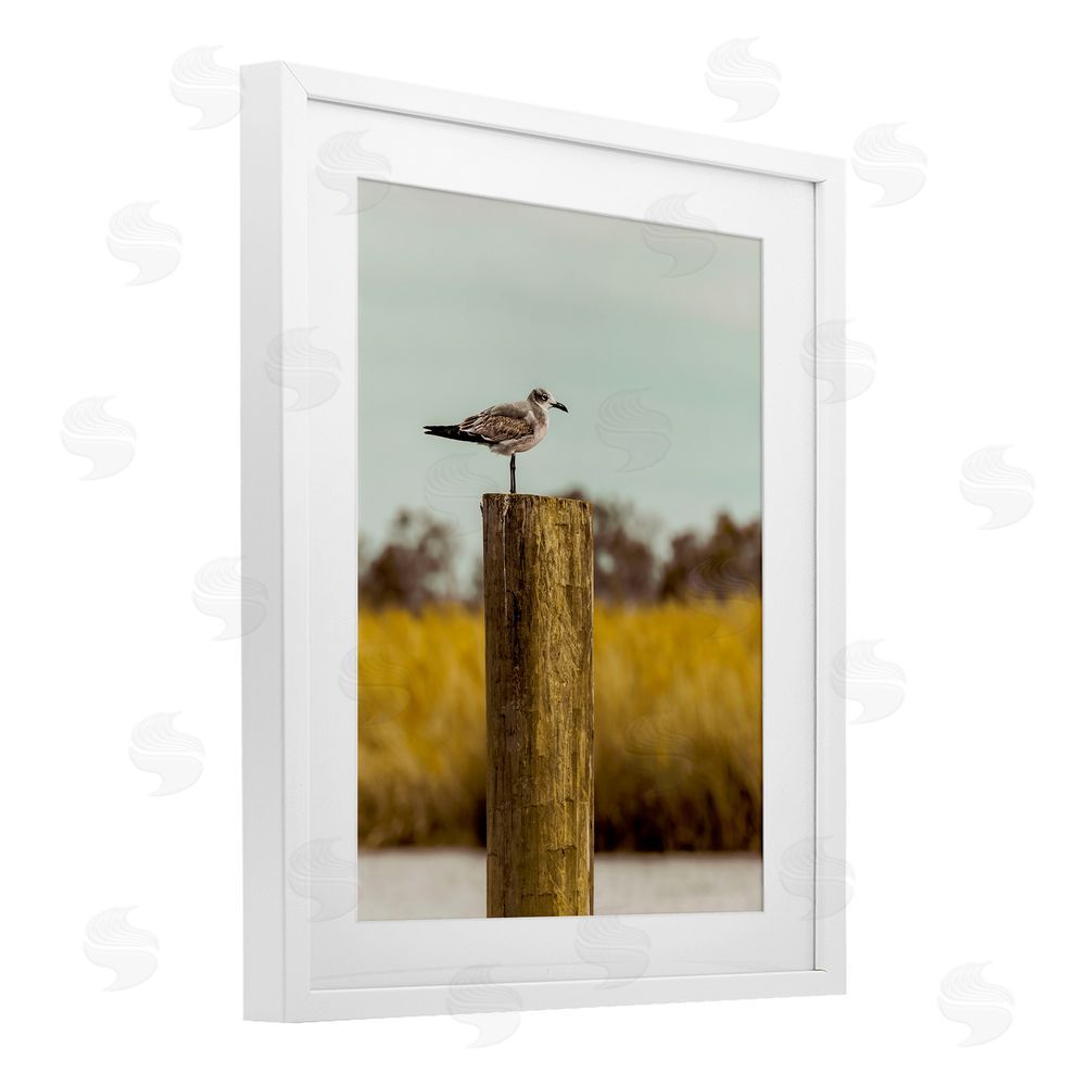Christy Berry Gull On Piling White Framed Print Under Glass Wall Art