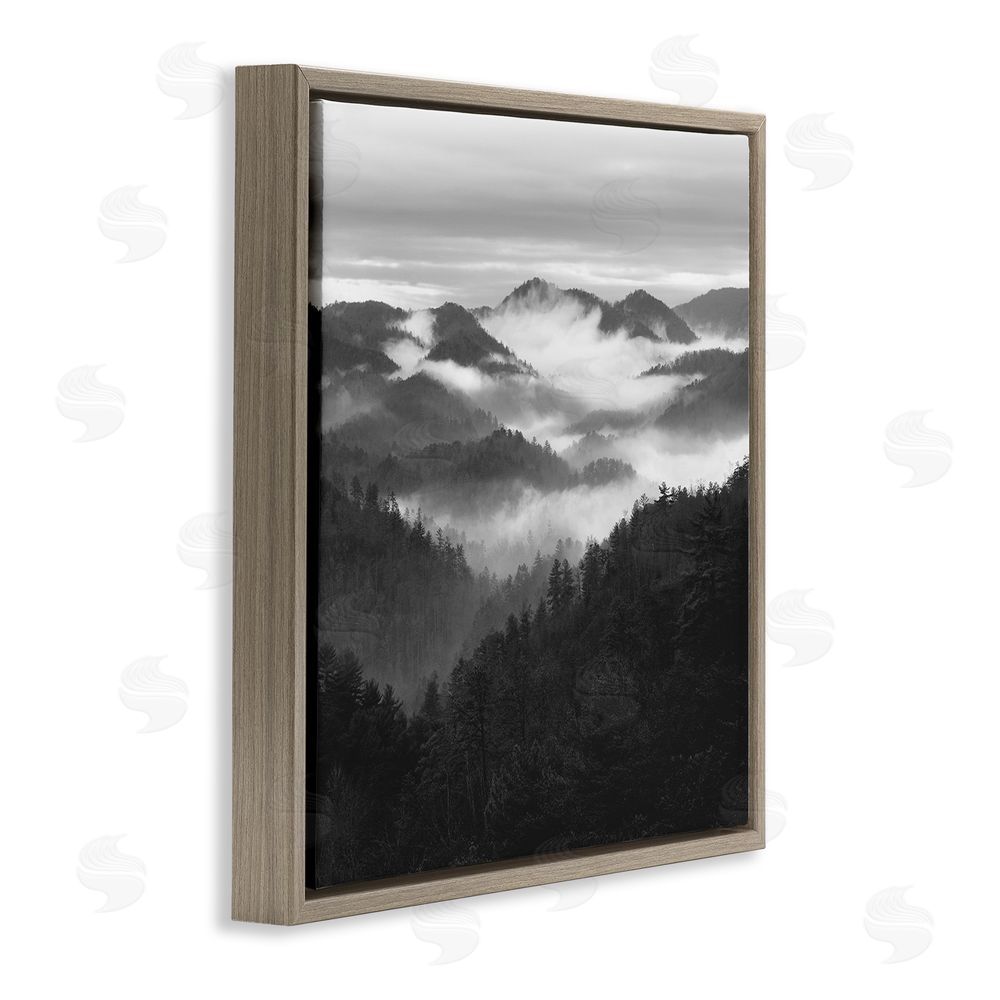Nicholas Bell Smoky Mountains Forest Brown Floating Frame Canvas Wall Art Print