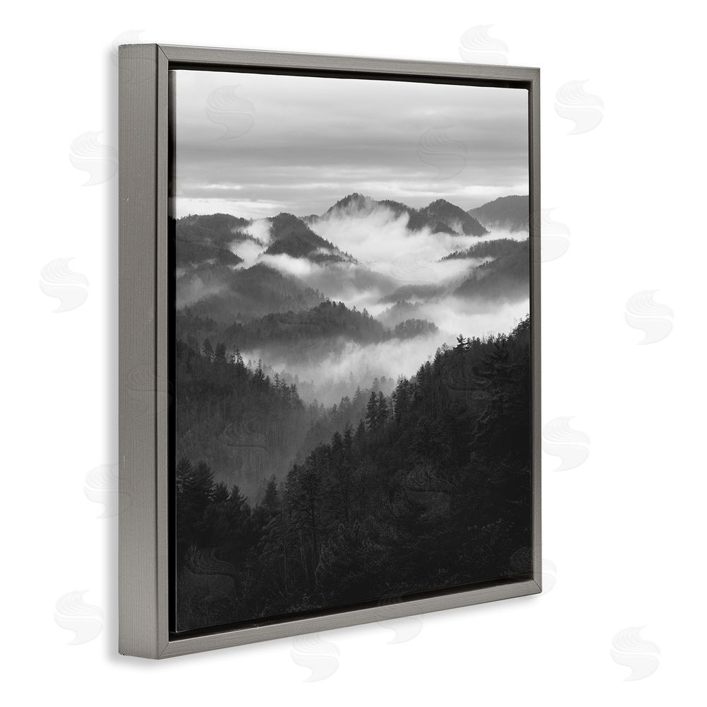 Nicholas Bell Smoky Mountains Forest Gray Floating Frame Canvas Wall Art Print