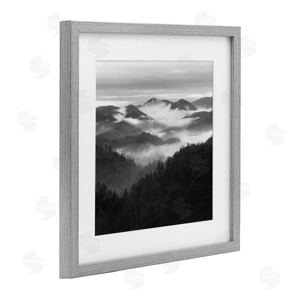 Nicholas Bell Smoky Mountains Forest Gray Framed Print Under Glass Wall Art