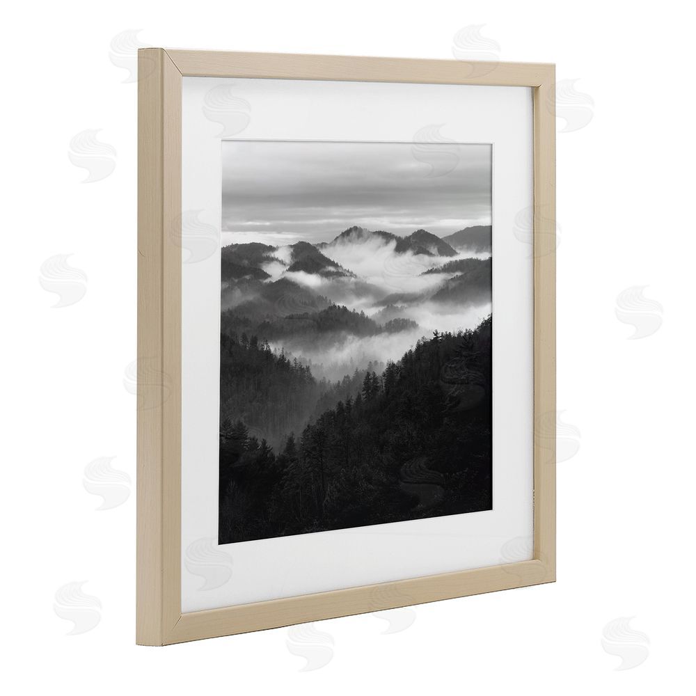 Nicholas Bell Smoky Mountains Forest Brown Framed Print Under Glass Wall Art