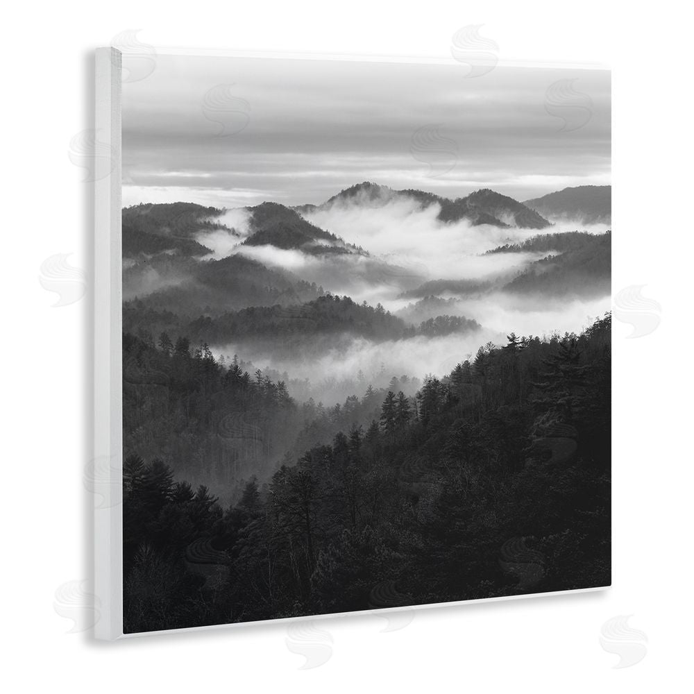 Nicholas Bell Smoky Mountains Forest Wooden Wall Plaque Art Print