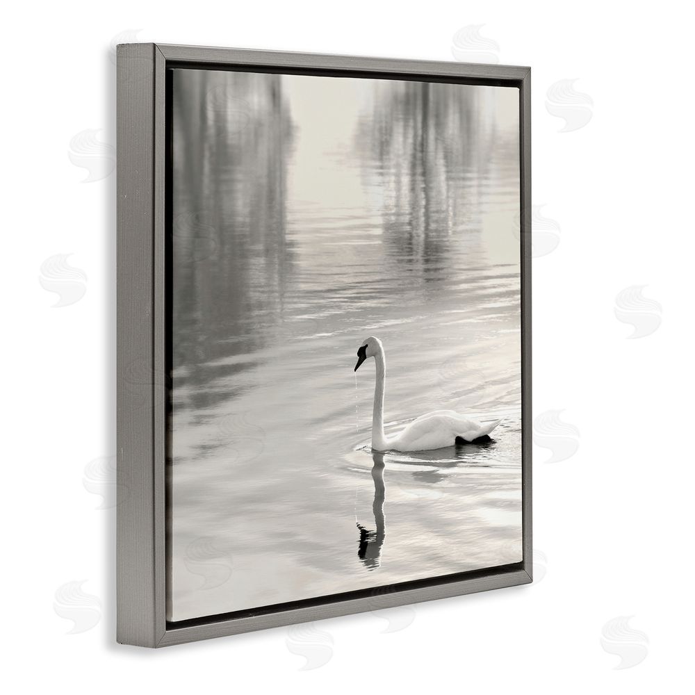 Nicholas Bell Morning Sunlit Swan Gray Floating Frame Canvas Wall Art Print