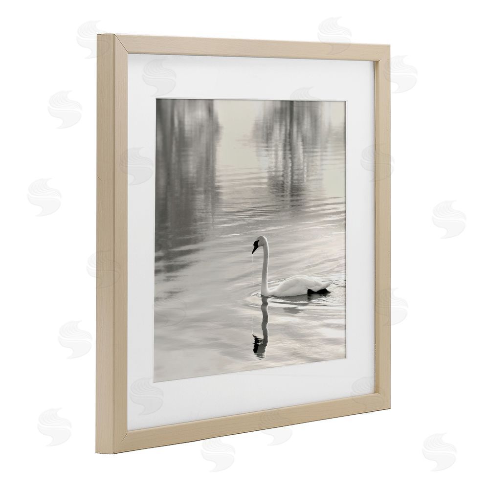 Nicholas Bell Morning Sunlit Swan Brown Framed Print Under Glass Wall Art