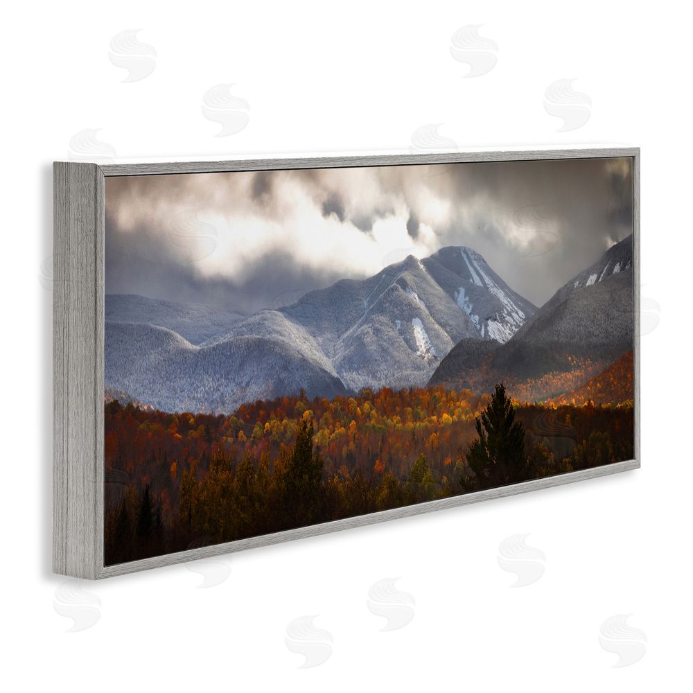 Jonathan Zaharek Colliding Seasons Mountainscape Gray Framed Giclee Wall Art Print