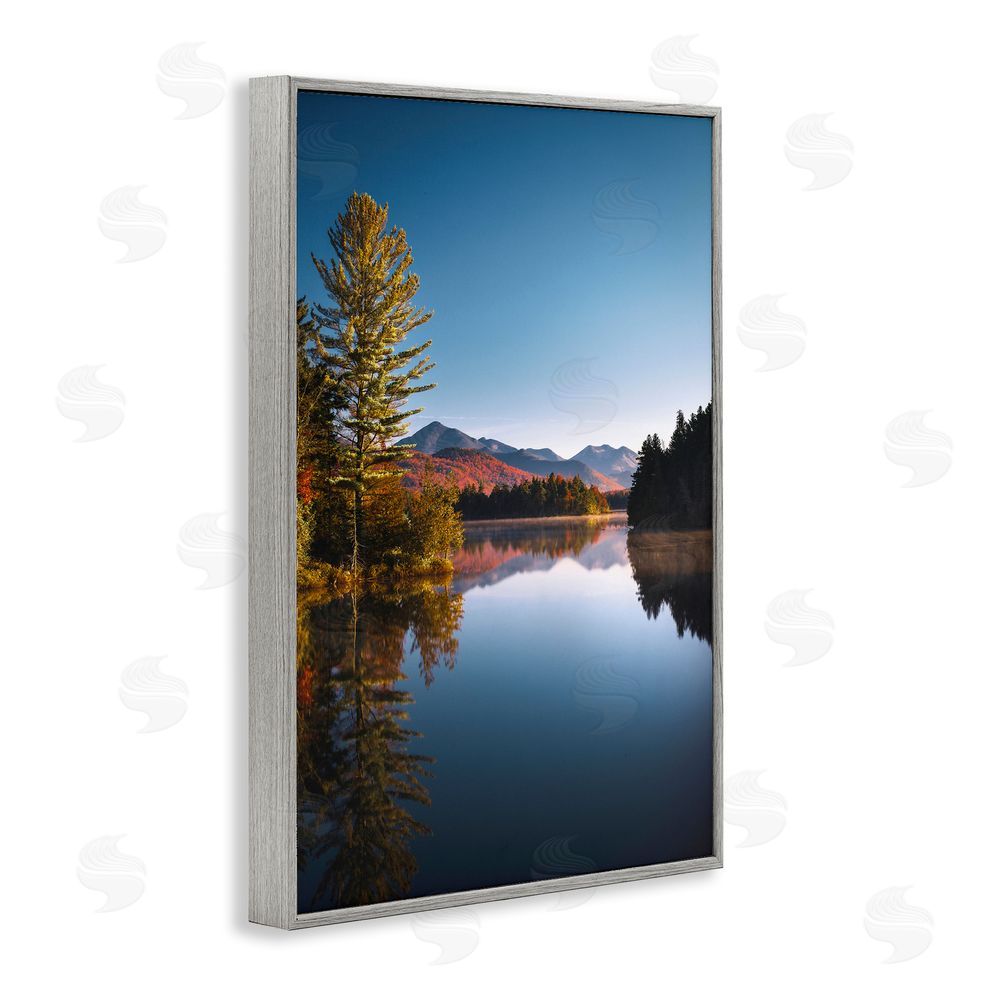 Jonathan Zaharek Autumn Morning Wilderness Gray Framed Giclee Wall Art Print