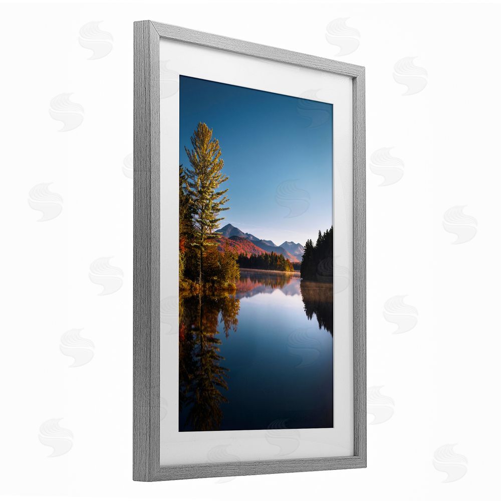 Jonathan Zaharek Autumn Morning Wilderness Gray Framed Print Under Glass Wall Art