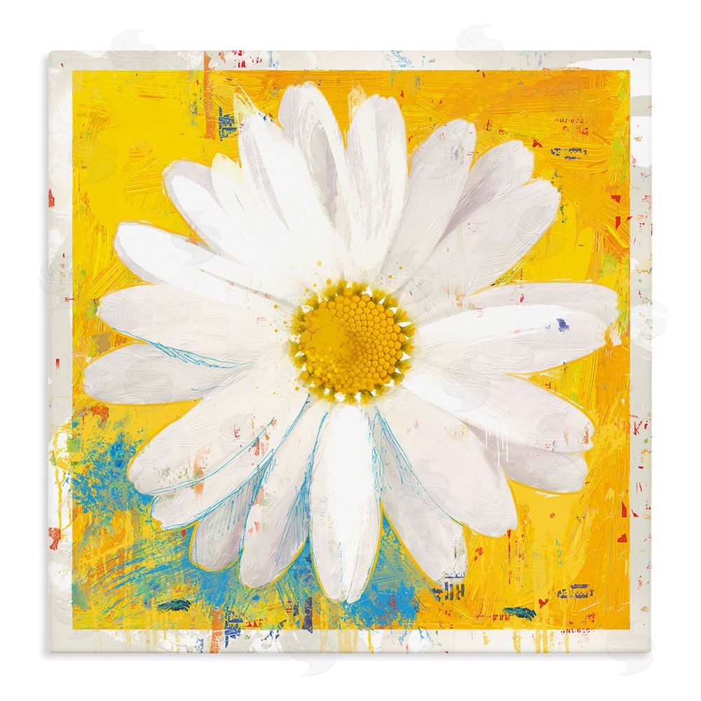 Porter Hastings Violet's Daisy on Yellow Stretched Canvas Wall Art Print