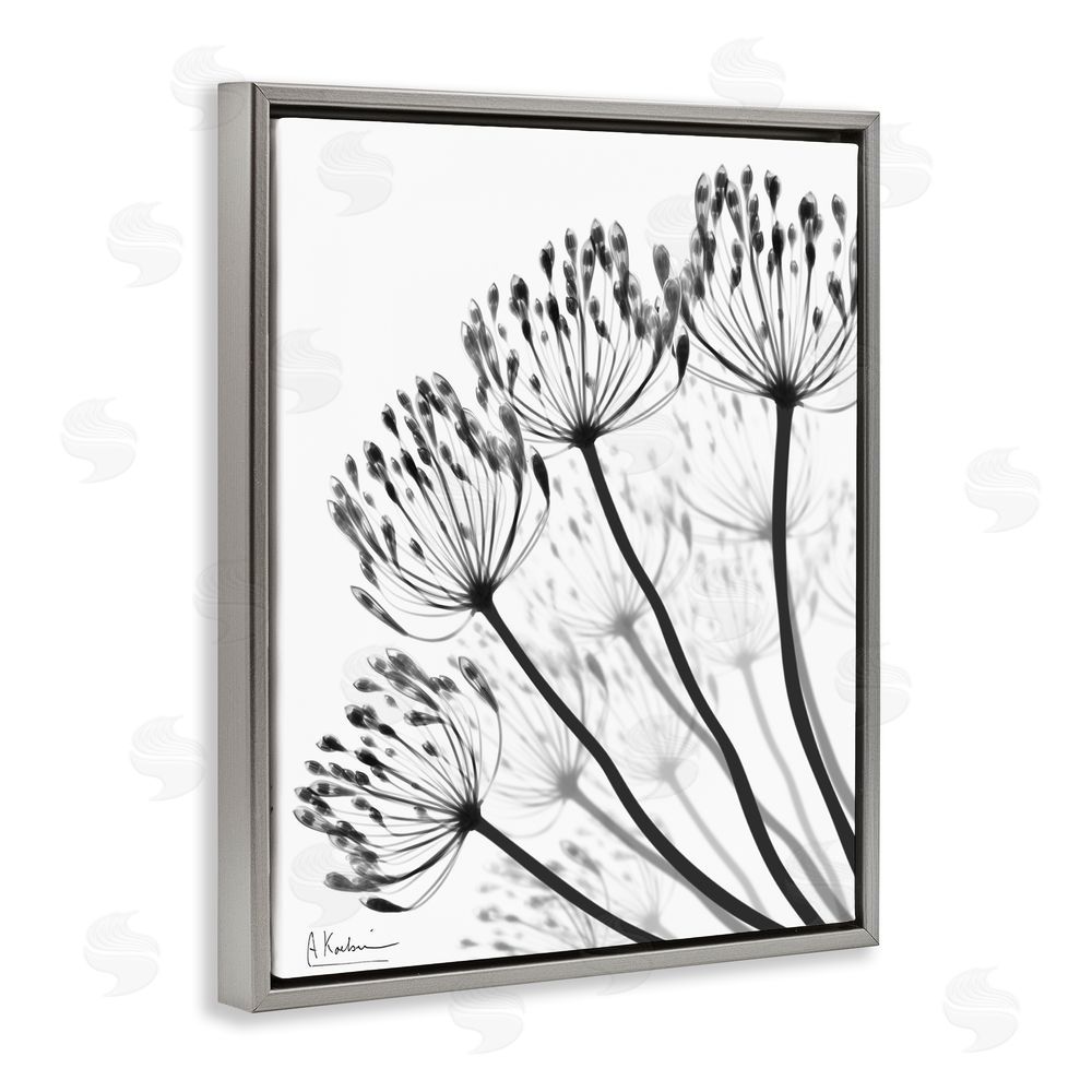 Albert Koetsier Floral Fan Dandelions Gray Floating Frame Canvas Wall Art Print