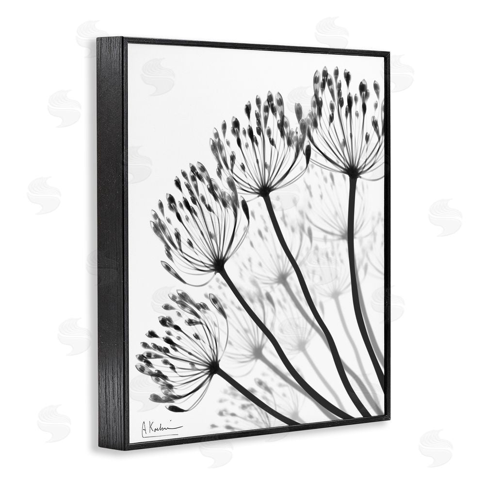 Albert Koetsier Floral Fan Dandelions Black Framed Giclee Wall Art Print