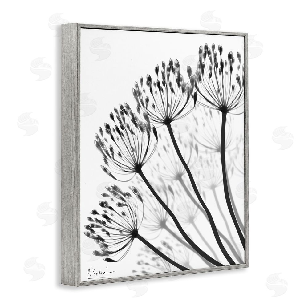 Albert Koetsier Floral Fan Dandelions Gray Framed Giclee Wall Art Print